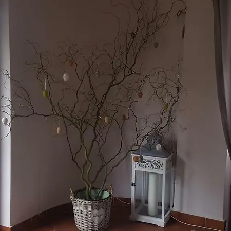 Pohoda Na Radosti Pnovany