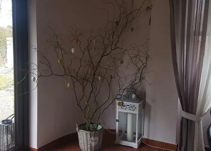 Pohoda Na Radosti Pňovany